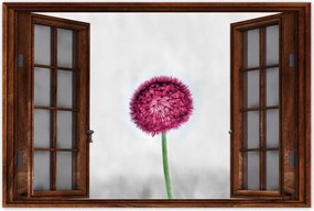 Poszterek 90x60 Rózsaszín pitypang virág