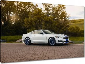 Képek 120x80 Ford Mustang Usa autó