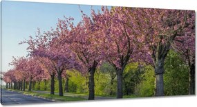 Festmények 115x55 Fa Fák Kilátás