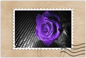 Poszterek 120x80 Lila rózsa