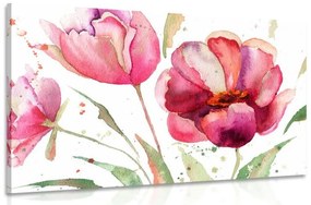 Kép látványos tulipánok érdekes kivitelben