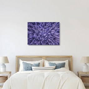 Havas fák képe (üvegen) (70x50 cm)