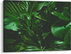Kép - Pálmalevél (70x50 cm)