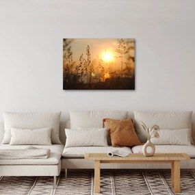 Napkelte képe (70x50 cm)