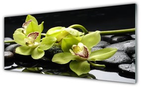 Fali üvegkép Virág orchidea növény 125x50 cm