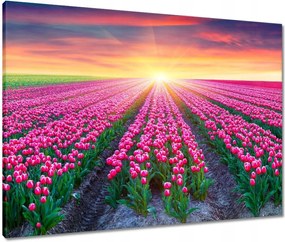 Vászonkép 80x60 Tulipánok tengere Virágok