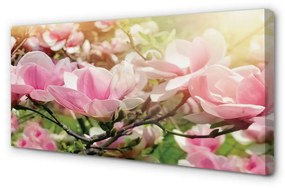 Canvas képek virágok 100x50 cm