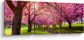 A virágzó cseresznye képe, Hurd Park, Dover, New Jersey (órával) (90x30 cm)