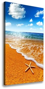 Feszített vászonkép Starfish a strandon ocv-110094883