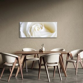 Egy fehér rózsa képe (120x50 cm)