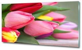 Egyedi üvegkép Színes tulipán osh-98761222
