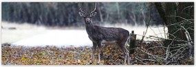 Poszterek 200x66 Szarvas az erdĆben ErdĆ