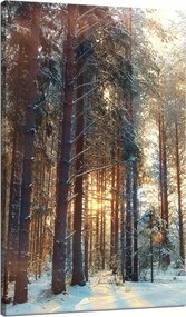 Vászonkép Erdő Tél Hó Fehér Természet 70x120 cm