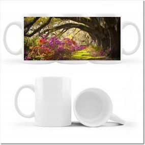 Fotó bögre Tölgyfa sikátor