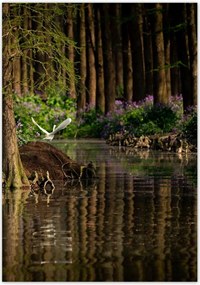 Poszterek 70x100 Tájkép Látvány