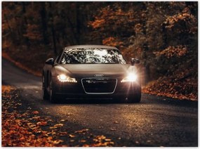 Poszterek 135x100 Audi Őszi tájkép