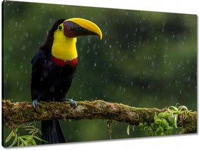 Vászonkép 90x60 Madarak