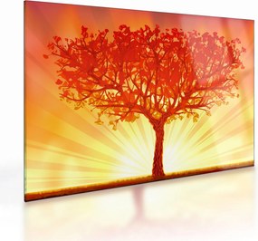 Kép - Fa a nap ragyogásában (üvegen) (70x50 cm)