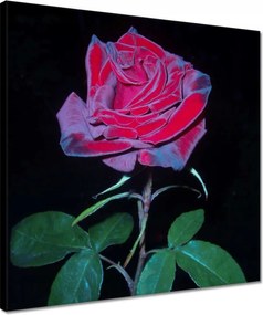 Vászonkép 40x40 Vörös rózsák a kertben