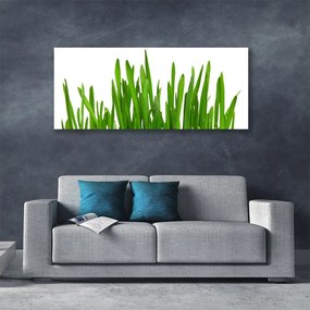 Vászonfotó Grass A Wall 100x50 cm