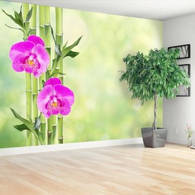 Fotótapéta Orchidea és Bamboo 104x70 cm