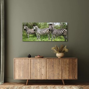 Zebrák képe (120x50 cm)