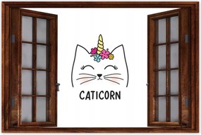 Poszterek 60x40 Cica Cicák