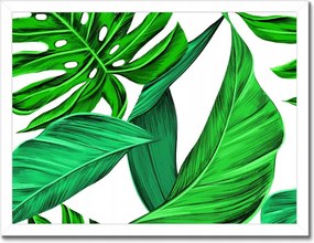 Poszterek keretben 40x30 Zamatos Monstera Trópusok