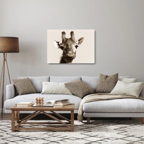 Üveg kép - Zsiráf portré, vintage (70x50 cm)
