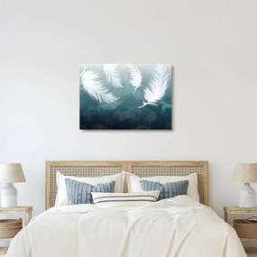 Kép - Fehér toll (üvegen) (70x50 cm)