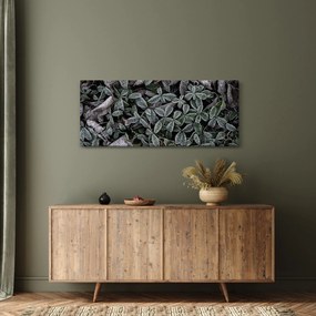Kép - Fagyasztott növények (120x50 cm)