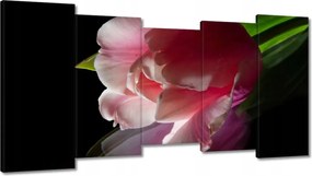 Vászonkép 150x80 Rózsaszín tulipán virág