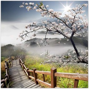 Poszterek 30x30 Japán Virágzó cseresznye