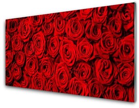 Akrilkép Roses A Wall 100x50 cm 4 fogas