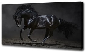 Vászonkép Fekete ló oc-47712826