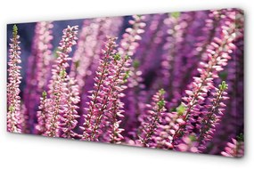 Canvas képek virágok 120x60 cm