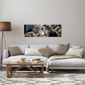 Kép - Cica (órával) (90x30 cm)