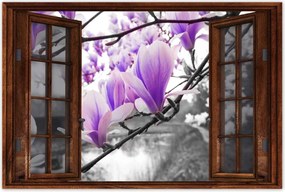 Poszterek 60x40 Magnólia Virágok