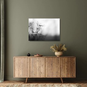 Kép - Réti virágok részlete (üvegen) (70x50 cm)
