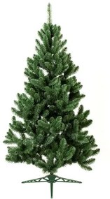 Jegenyefenyő karácsonyfa 180cm