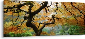 Egy sárga japán juhar képe, Portland, Oregon (120x50 cm)