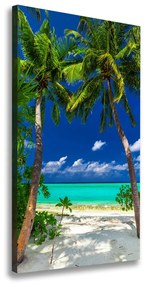 Feszített vászonkép Trópusi tengerpart ocv-110568122