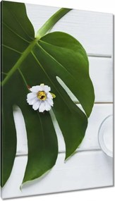 Vászonkép 80x120 Kozmetikumok a természetből