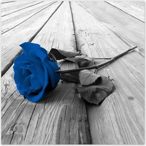 Poszterek 100x100 Kék rózsa a hídon
