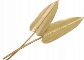 Mesterséges Pálmalevelek Nyilak Arany 20cm