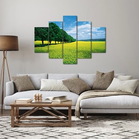 A mező képe egy sikátorral (150x105 cm)