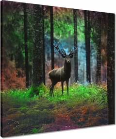 Vászonkép 50x50 Szarvas a mesés erdőben