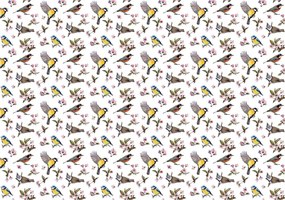 Fotótapéta Madarak és virágok vinil tavaszi motívum 312x219 +ragasztó