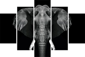 Kép - Elefánt fekete háttérrel (150x105 cm)