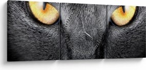 Kép - Közeli portré egy macskáról (órával) (90x30 cm)